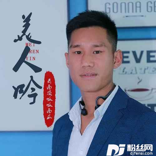 美人吟DJ默涵版的专辑