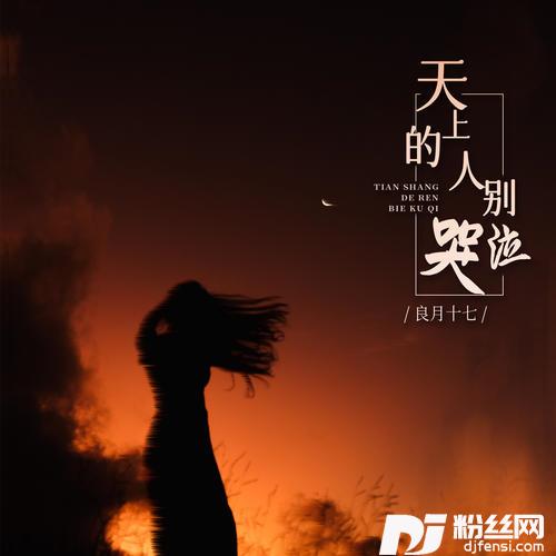 天上的人别哭泣