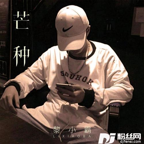 不浪漫罪名DJ版的专辑
