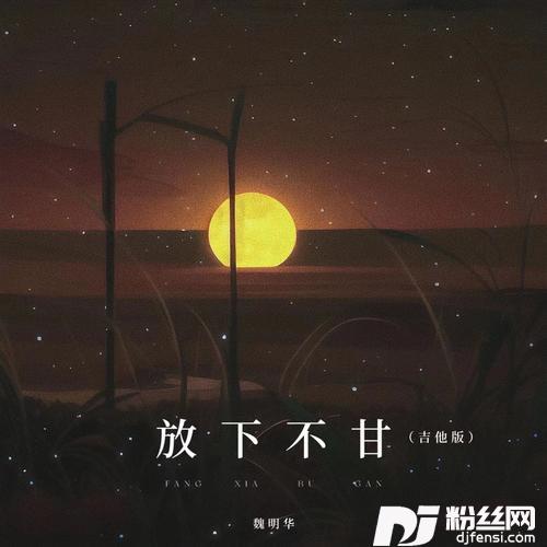 放下不甘吉他版