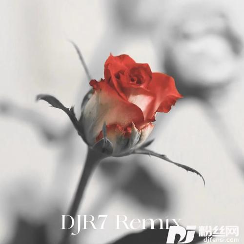 抹去泪水DJR7的专辑