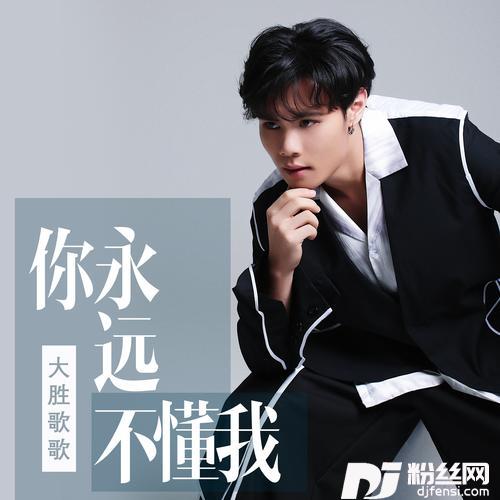 你永远不懂我