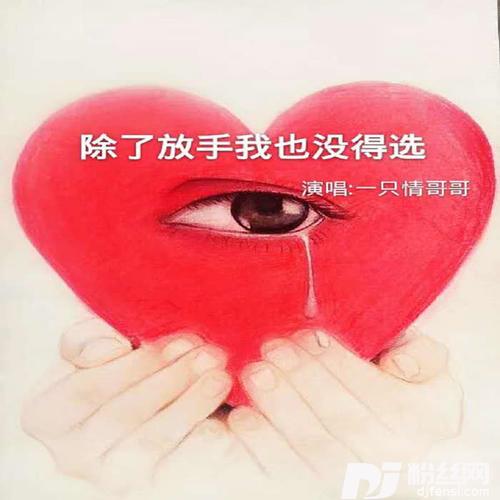 除了放手我也没得选