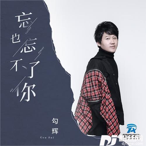 忘也忘不了你对唱版的专辑