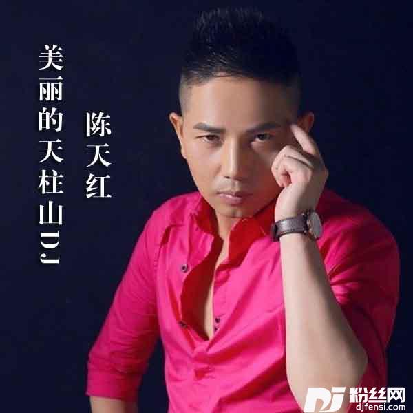 美丽的天柱山DJ版
