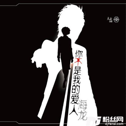 你不是我的爱人