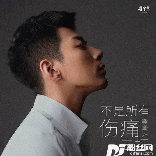 不是所有伤痛都有人去扛DJ版