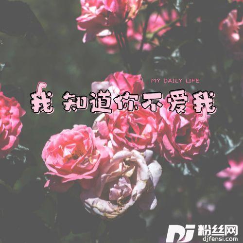 我知道你不爱我（DJ北风版）的专辑