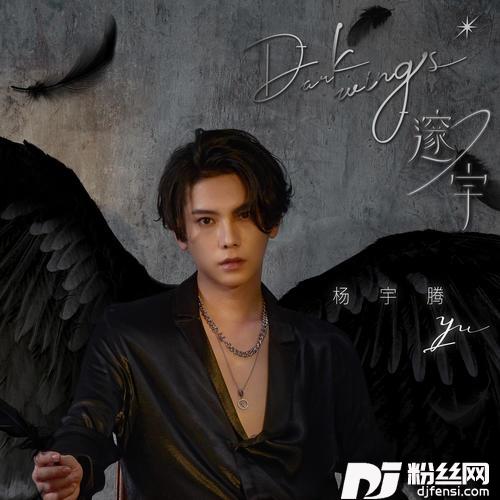 天使乌鸦 Fallenangel的专辑