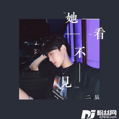 她看不见的专辑