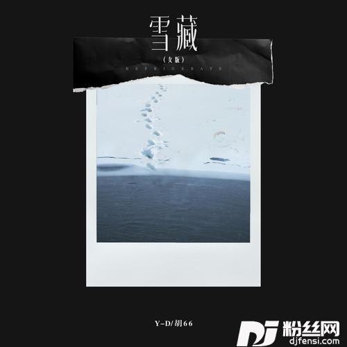 雪藏女版的专辑