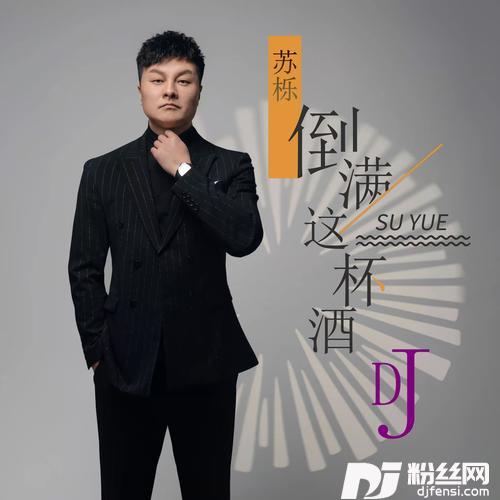 倒满这杯酒DJ版