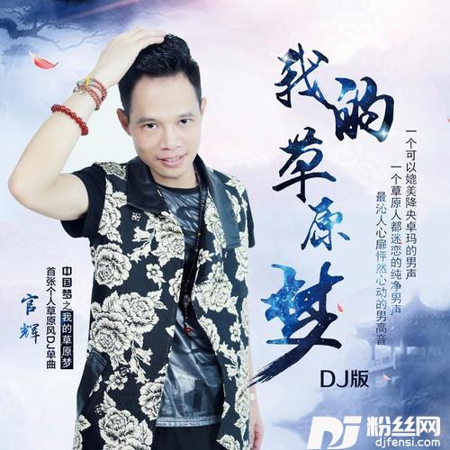 我的草原梦DJ版