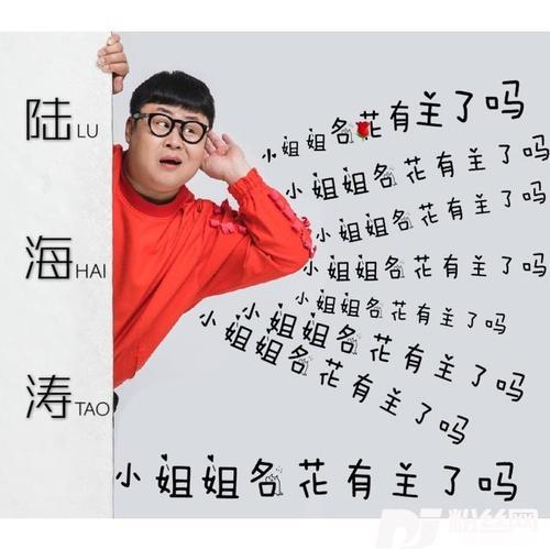 小姐姐名花有主了吗的专辑