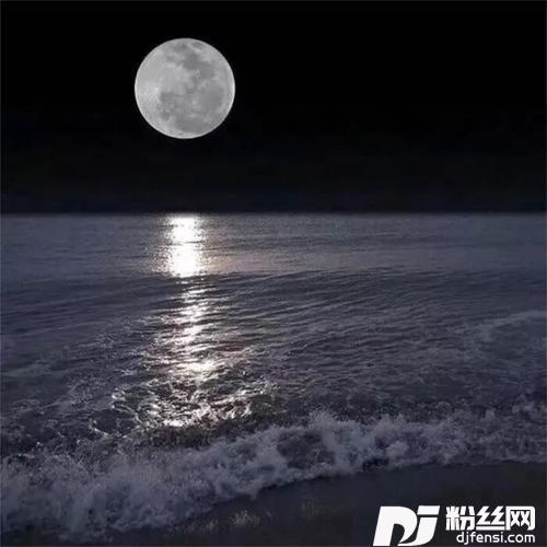 MyHeartWillGoOn抖音版