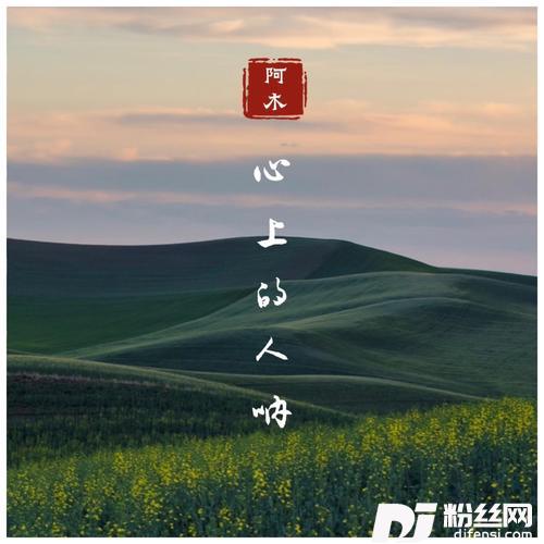 心上的人呐DJ沈念版