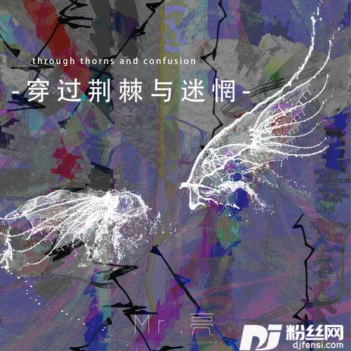 穿过荆棘与迷惘的专辑