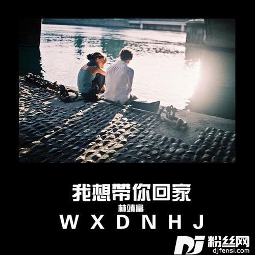 我想带你回家