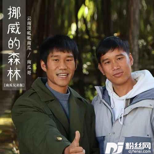 挪威的森林南瓜兄弟版的专辑