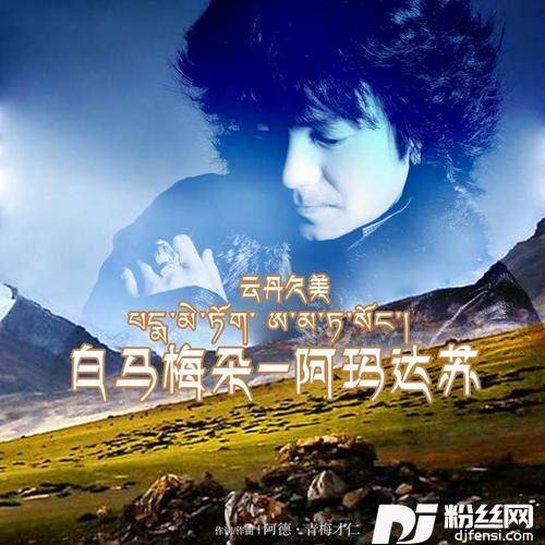 白玛梅朵-阿玛达苏的专辑