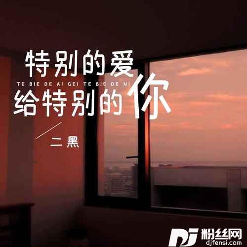 特别的爱给特别的你DJ默涵版