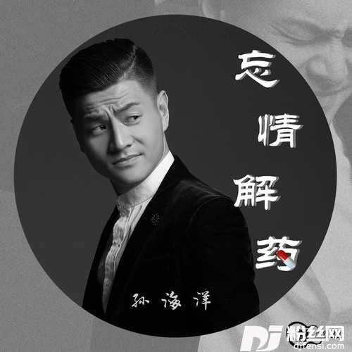 忘情解药DJ沈念版的专辑