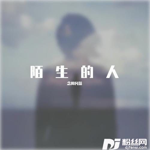 陌生的人的专辑