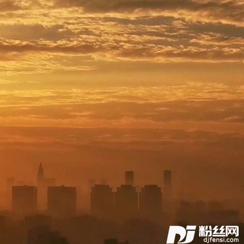 戒指（DJ版）的专辑