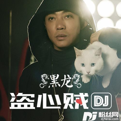 盗心贼DJ阿亮版的专辑