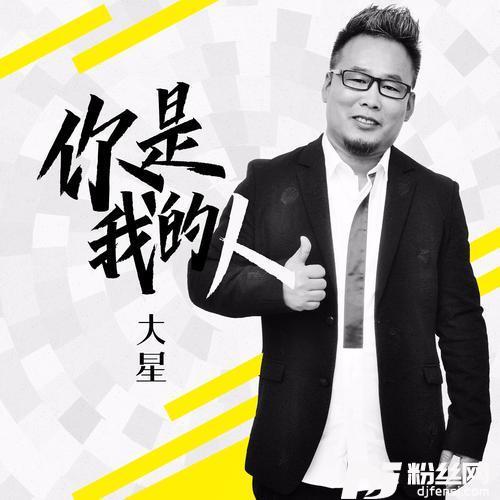 你是我的人DJ散人版