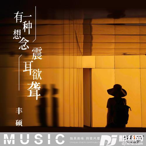 有一种想念震耳欲聋DJ版
