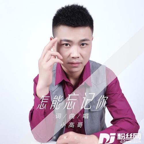 怎能忘记你DJ版
