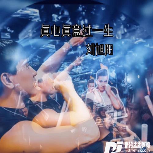 真心真意过一生DJ版的专辑