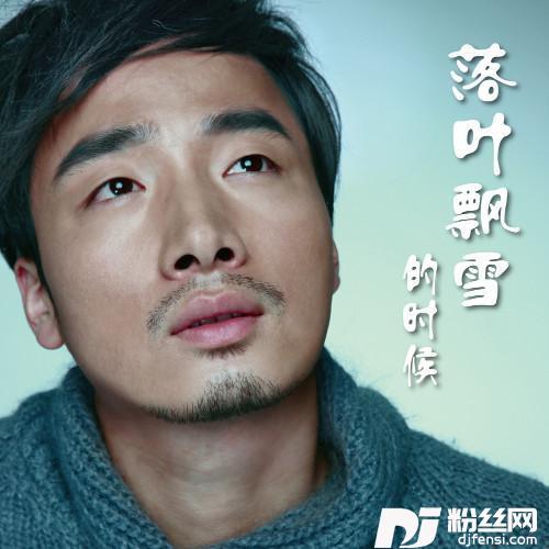 落叶飘雪的时候的专辑