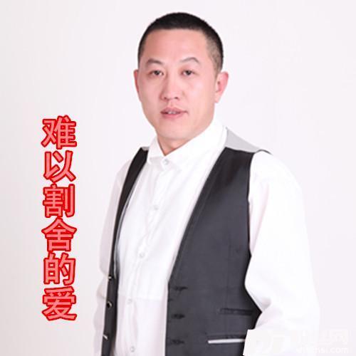 难舍梦中爱的情怀的专辑