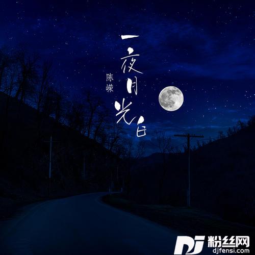 一夜月光白