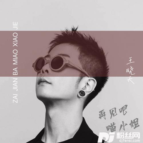 再见吧喵小姐的专辑