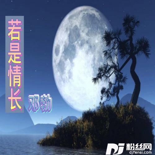 毕竟深爱过Dj版的专辑