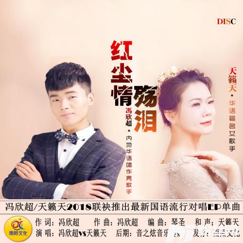 红尘情殇泪