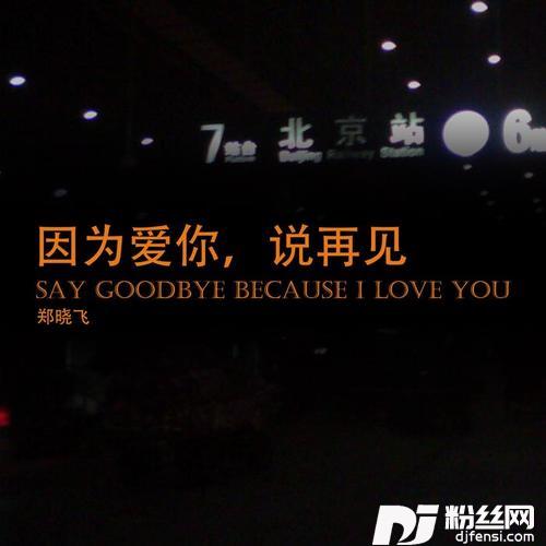 对你的爱我无法诉说