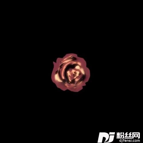 无人区玫瑰的专辑