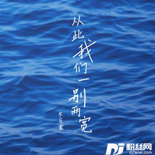 从此我们一别两宽DJ沈念版的专辑
