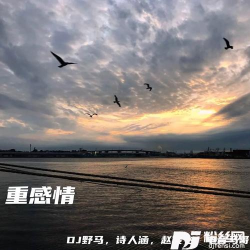 天下DJ版