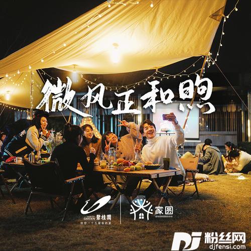 微风正和煦