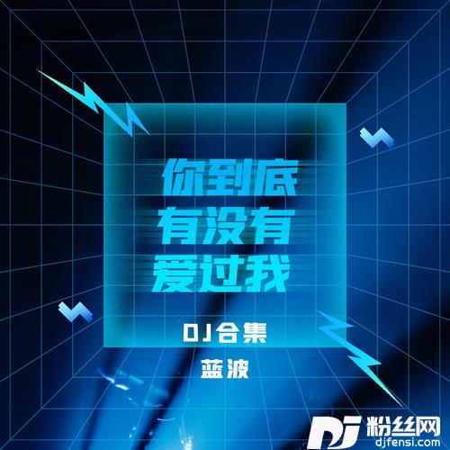 你到底有没有爱过我DJ版的专辑