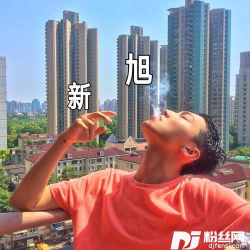抖音火曲DJ版的专辑
