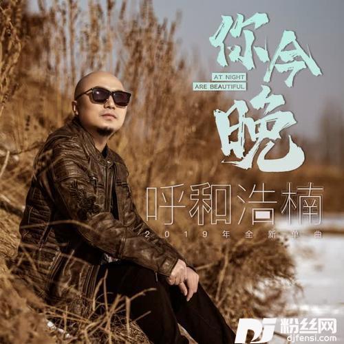 你今晚DJ何鹏版的专辑