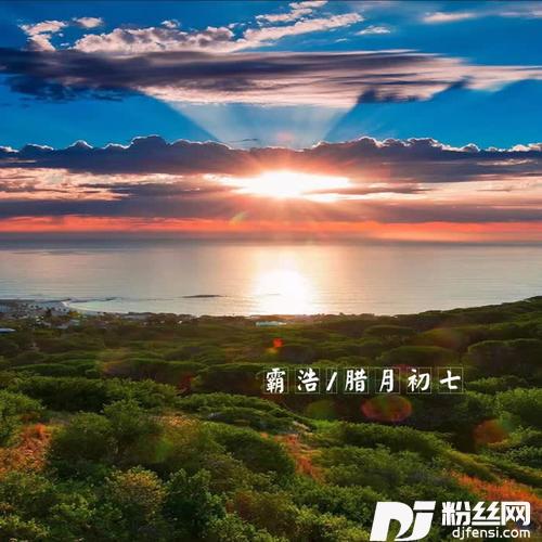 AlanWalker-Faded墨尔本版的专辑