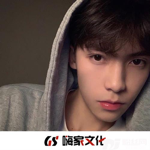 优雅永不过时热播版