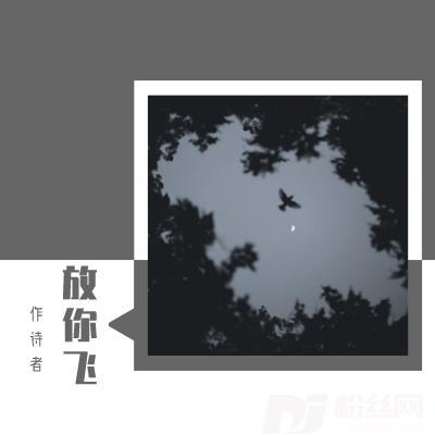 放你飞